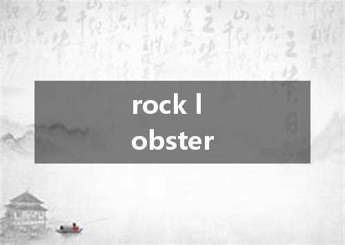 rock lobster是什么意思