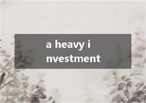 a heavy investment是什么意思