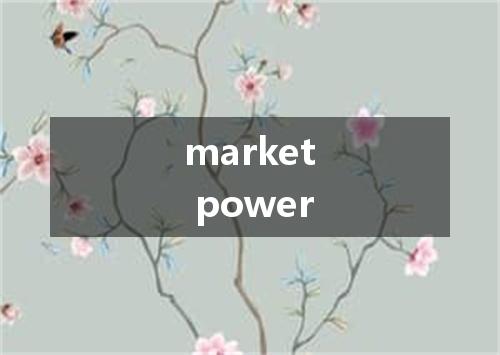 market power是什么意思