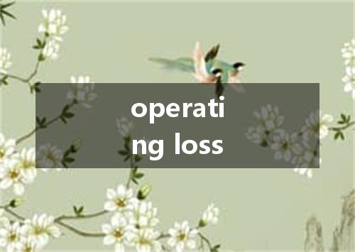 operating loss是什么意思