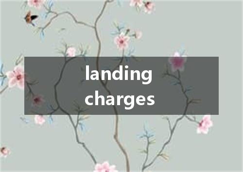 landing charges是什么意思
