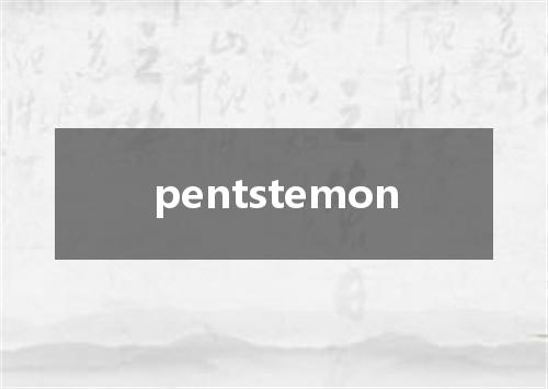 pentstemon是什么意思