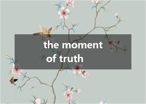 the moment of truth是什么意思