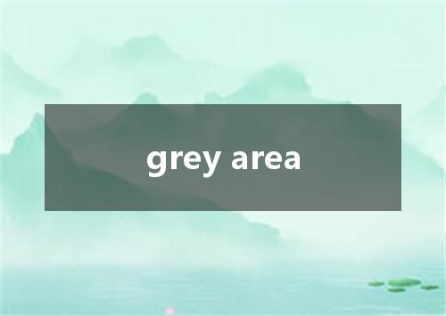 grey area是什么意思