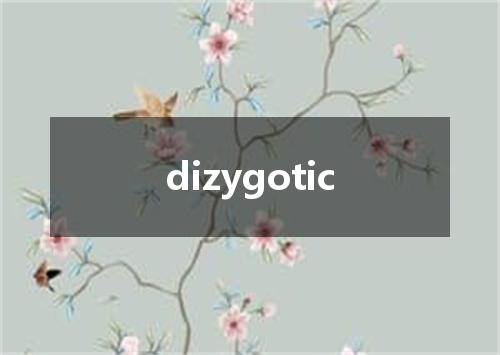 dizygotic是什么意思