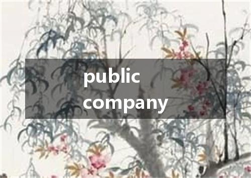 public company是什么意思