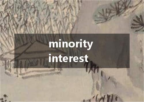 minority interest是什么意思