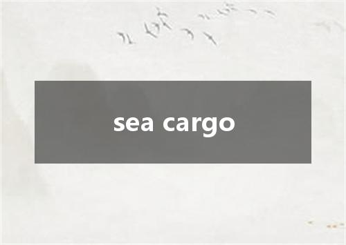sea cargo是什么意思