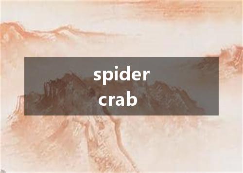 spider crab是什么意思