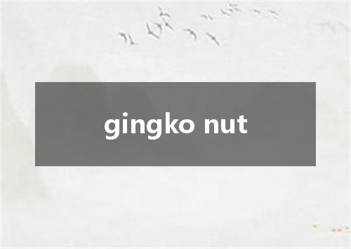 gingko nut是什么意思