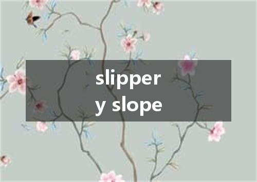 slippery slope是什么意思