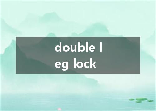 double leg lock是什么意思