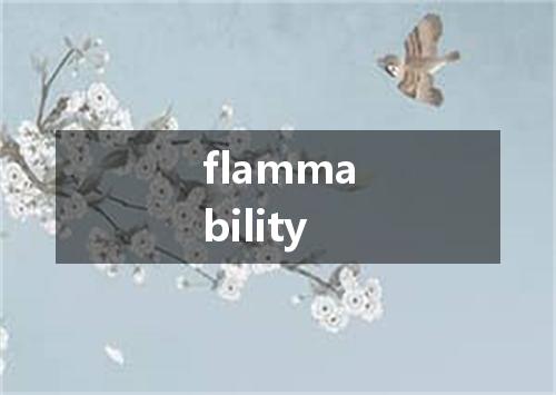 flammability是什么意思