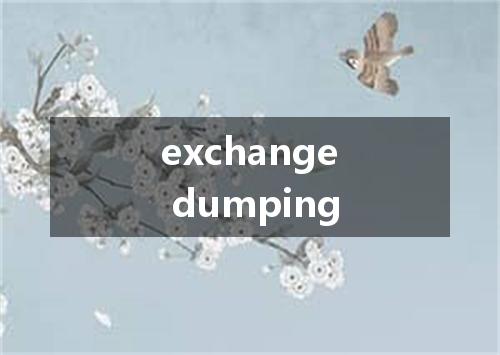 exchange dumping是什么意思