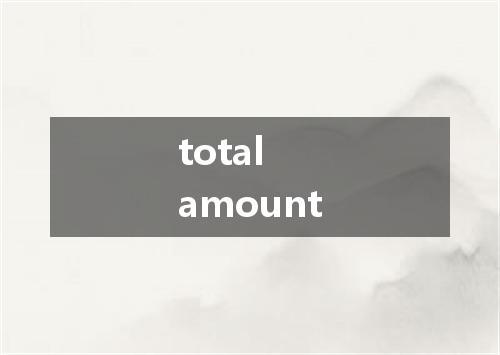 total amount是什么意思