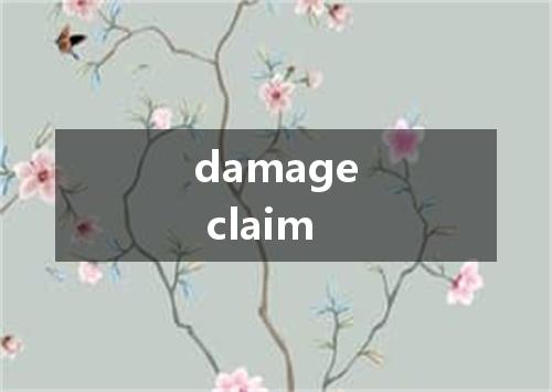 damage claim是什么意思