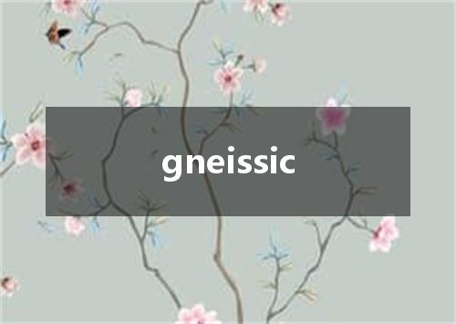 gneissic是什么意思