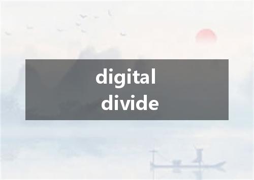 digital divide是什么意思