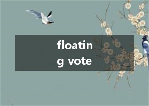 floating vote是什么意思