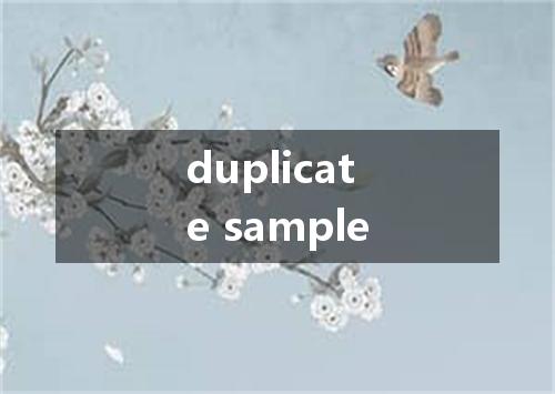 duplicate sample是什么意思