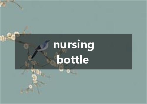 nursing bottle是什么意思