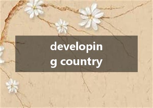 developing country是什么意思