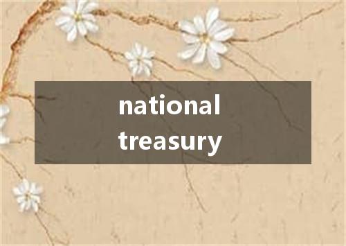 national treasury是什么意思