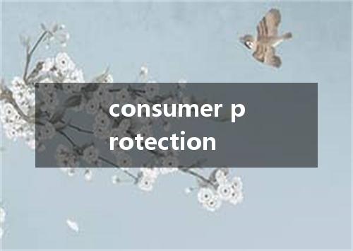 consumer protection是什么意思