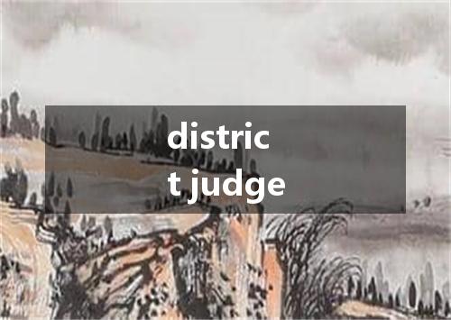 district judge是什么意思