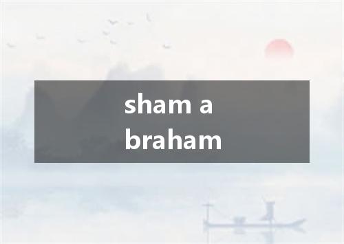 sham abraham是什么意思