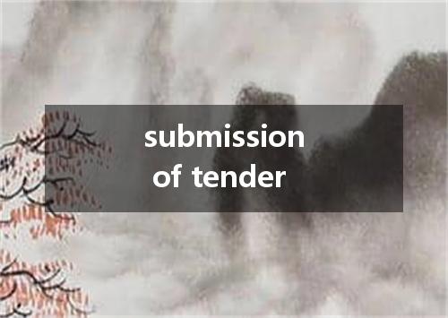 submission of tender是什么意思
