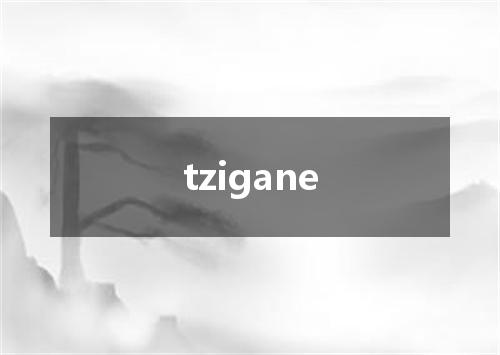 tzigane是什么意思