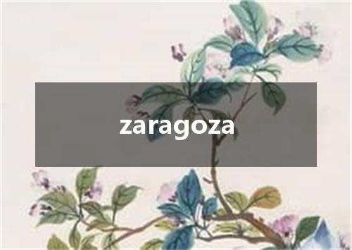 zaragoza是什么意思