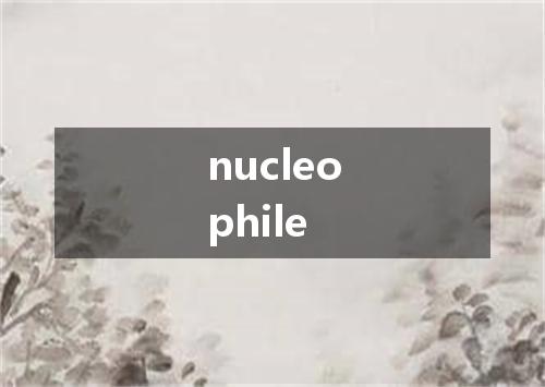 nucleophile是什么意思