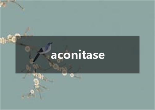 aconitase是什么意思