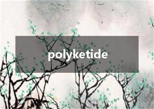 polyketide是什么意思
