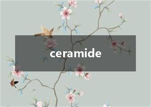 ceramide是什么意思