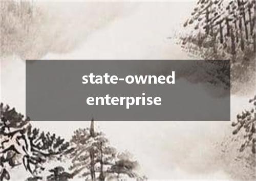state-owned enterprise是什么意思