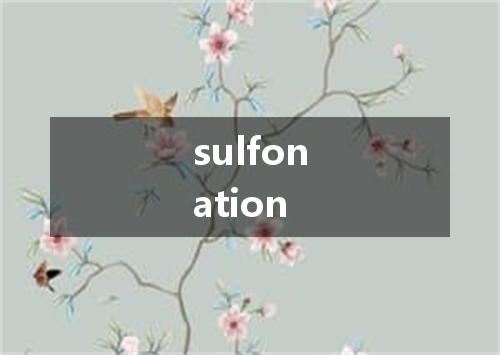 sulfonation是什么意思