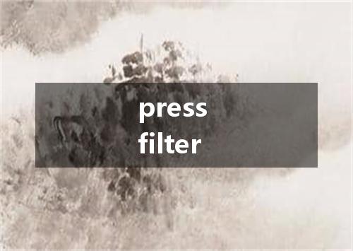 press filter是什么意思