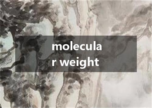 molecular weight是什么意思