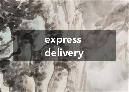 express delivery是什么意思