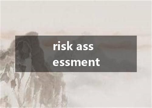 risk assessment是什么意思