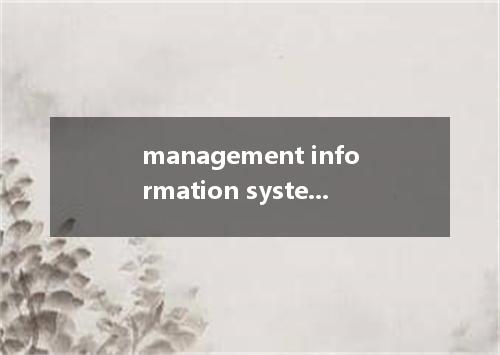 management information system是什么意思