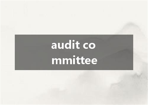 audit committee是什么意思