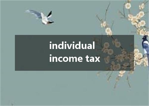 individual income tax是什么意思