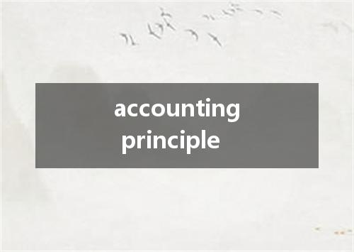 accounting principle是什么意思