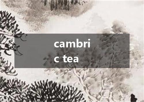 cambric tea是什么意思