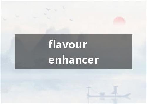 flavour enhancer是什么意思
