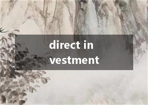 direct investment是什么意思